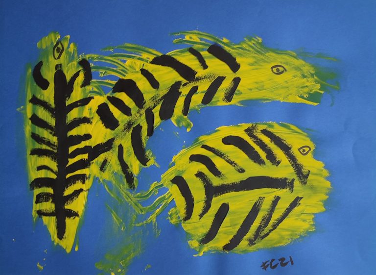 Pesci tigre
